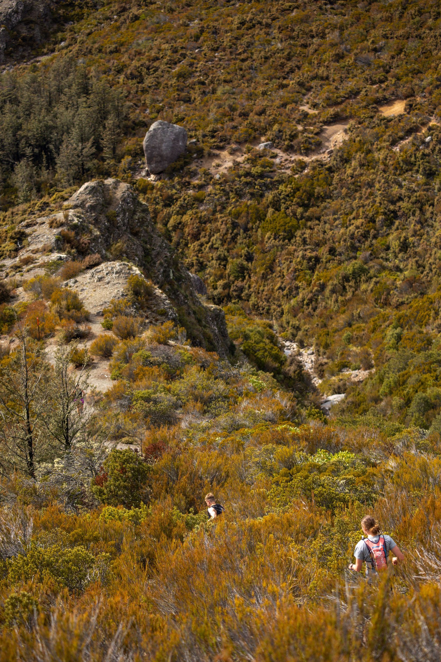 A person is hiking up a hill in the woods.