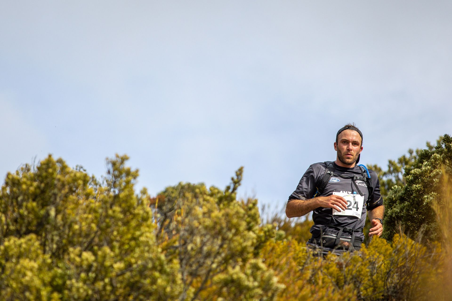 A man is running through a field of trees.