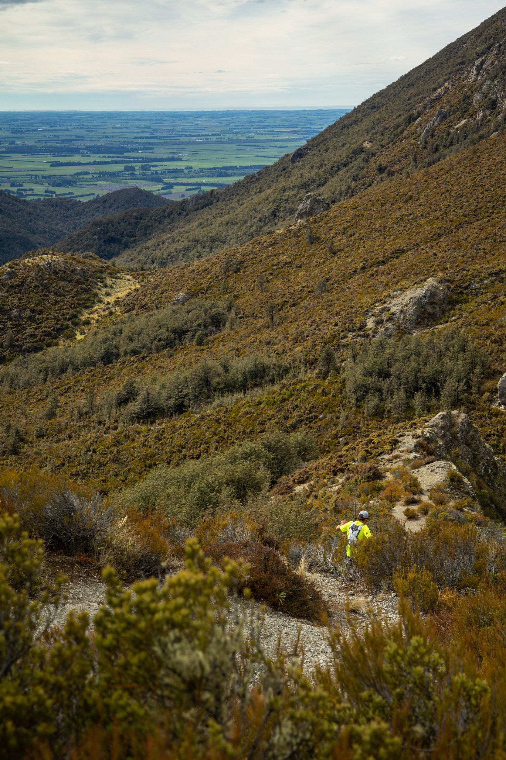 A mountain covered in trees and bushes with a view of the ocean.