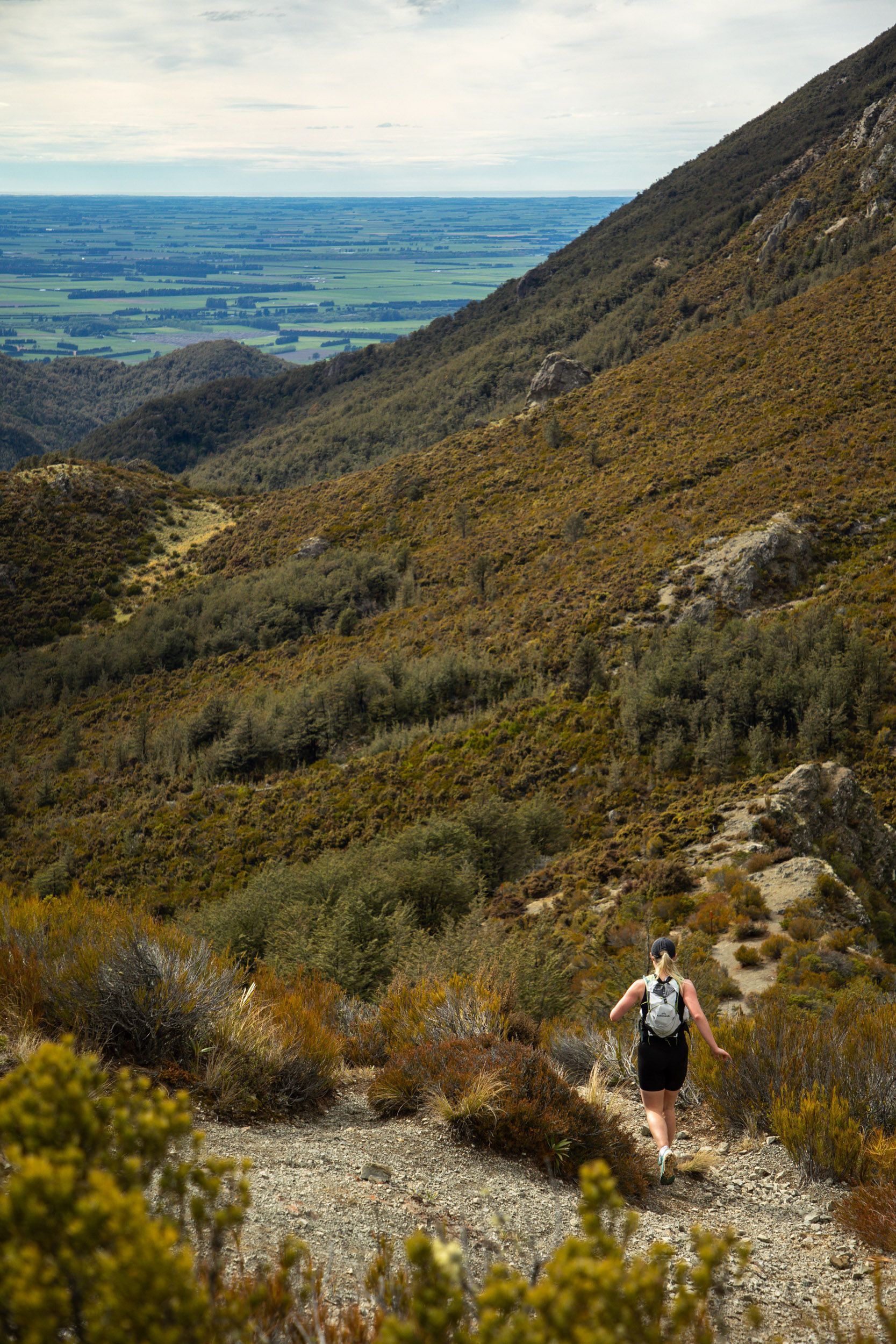 A person is walking up a hill on a trail.