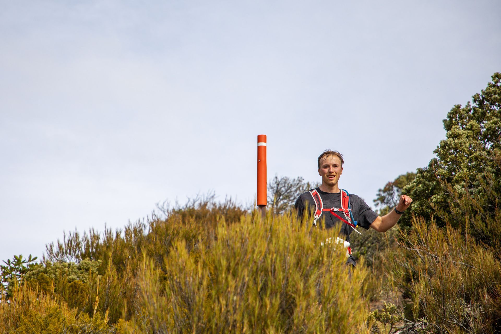 A man is standing on top of a hill holding an orange pole.