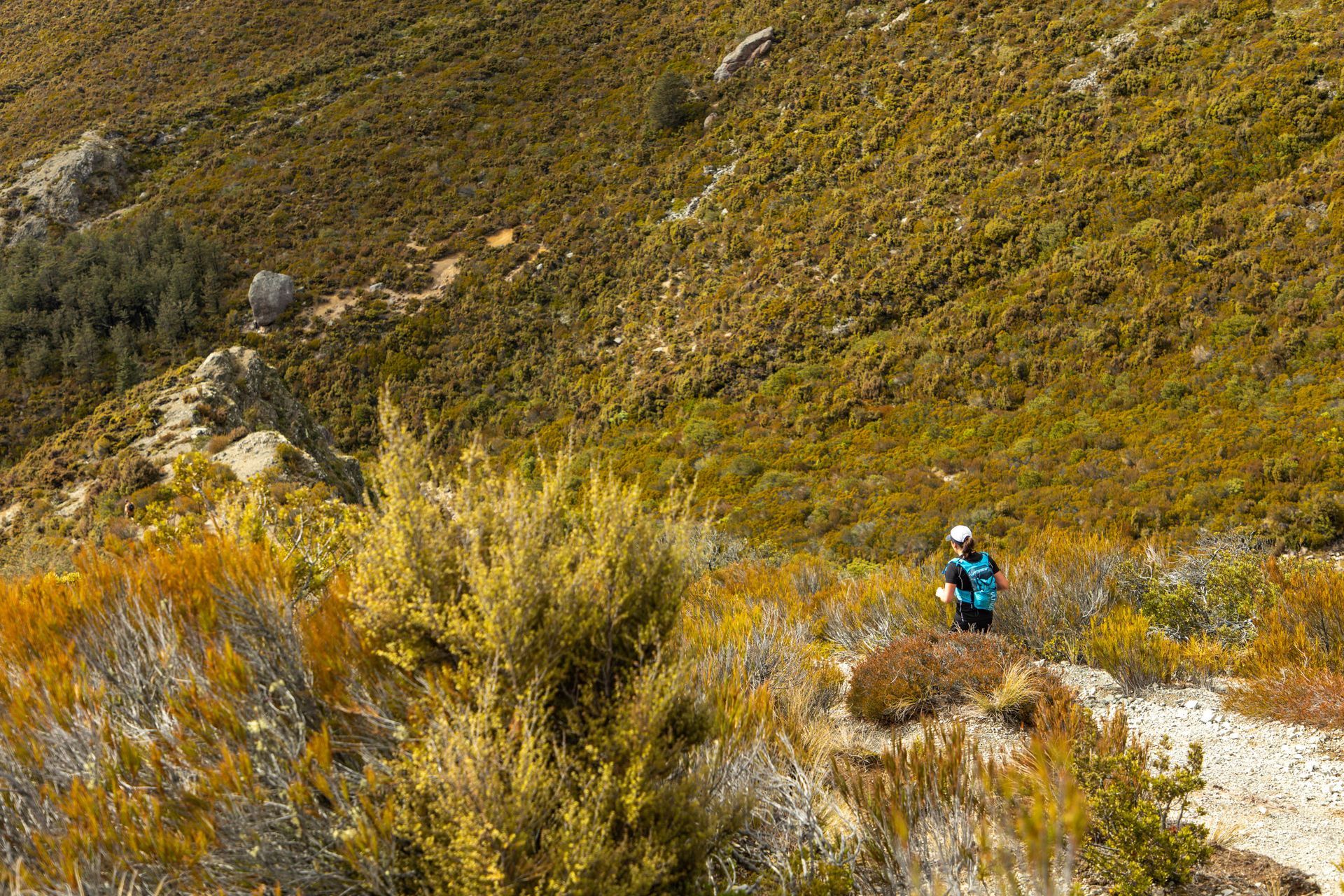 A person is standing on top of a hill surrounded by trees.