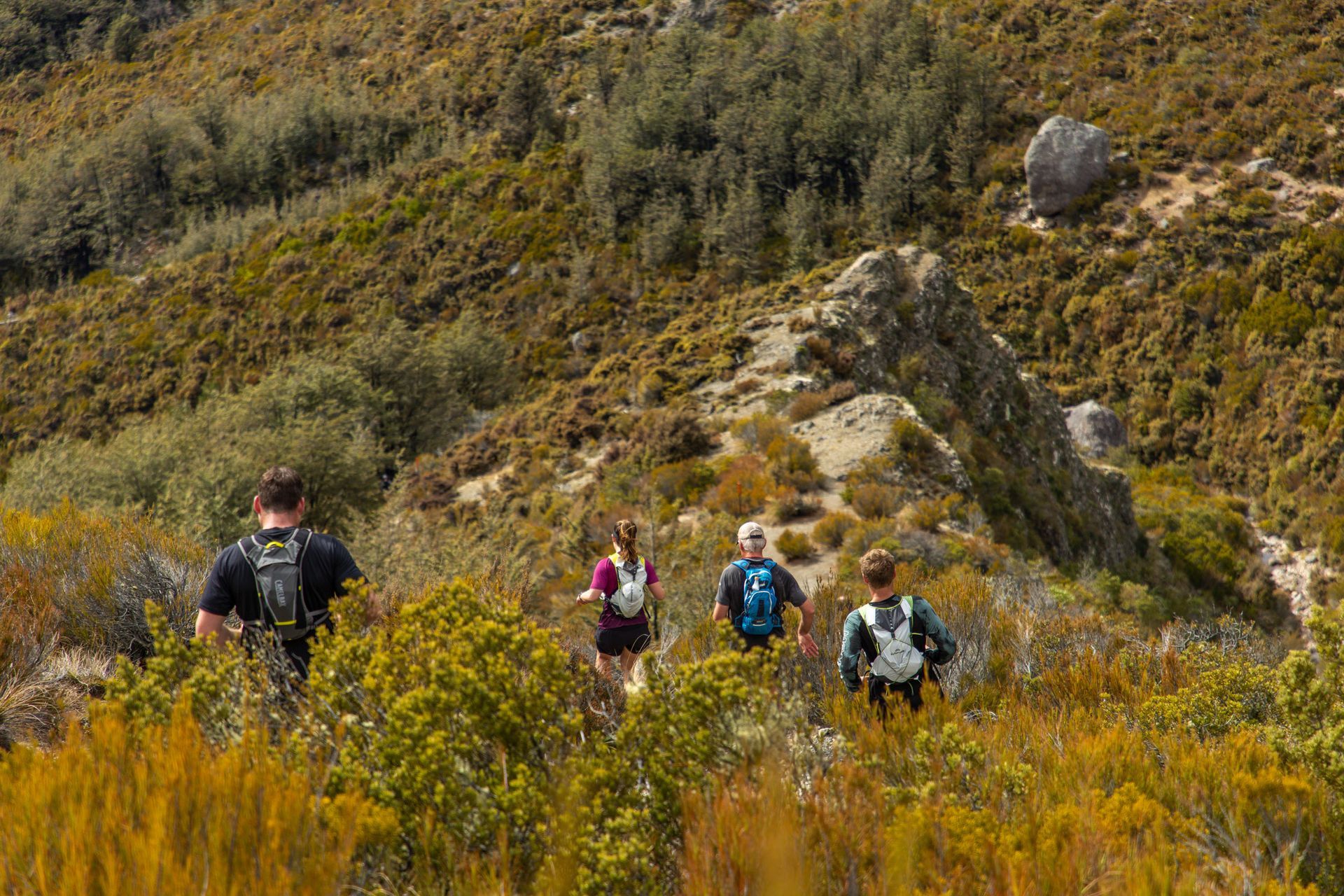 A group of people are hiking up a hill.