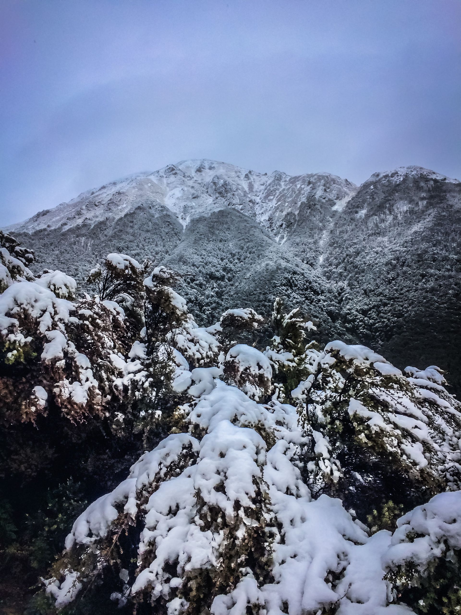 A snowy landscape with a mountain in the background