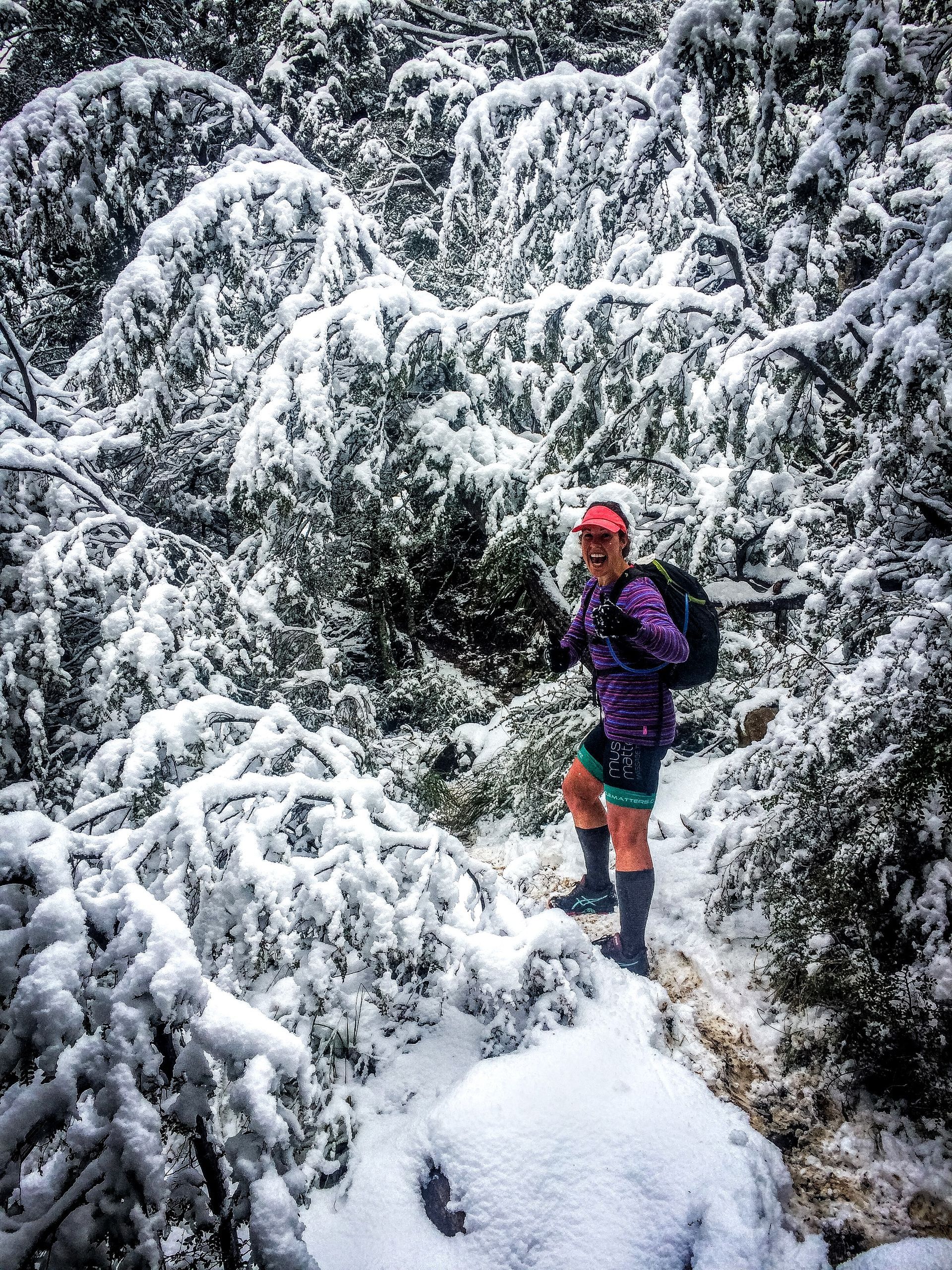 A person is walking through a snowy forest.