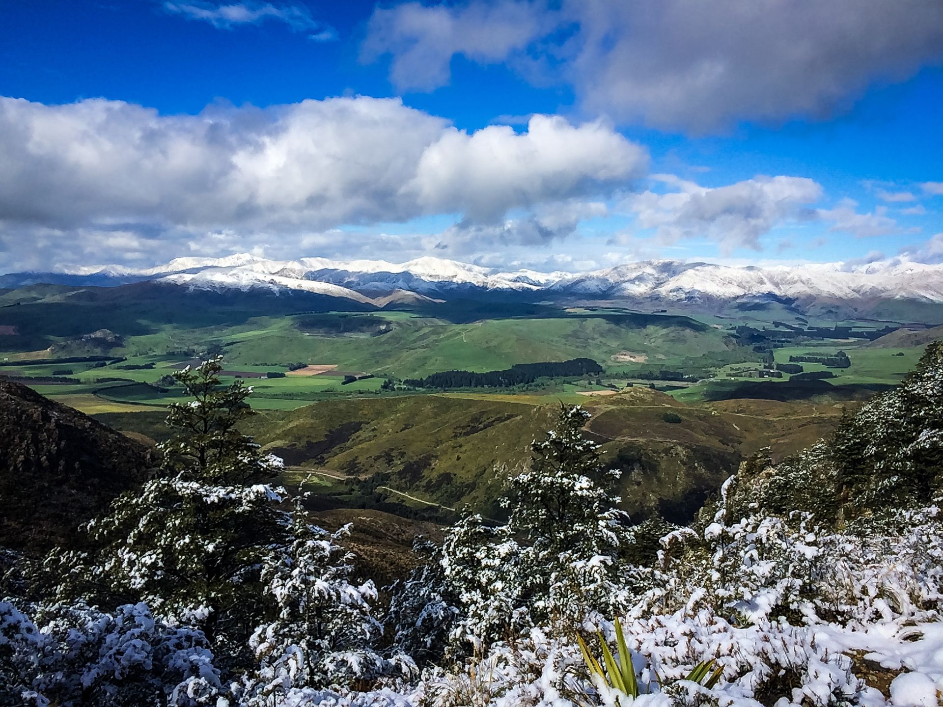 A snowy landscape with mountains in the background and trees in the foreground