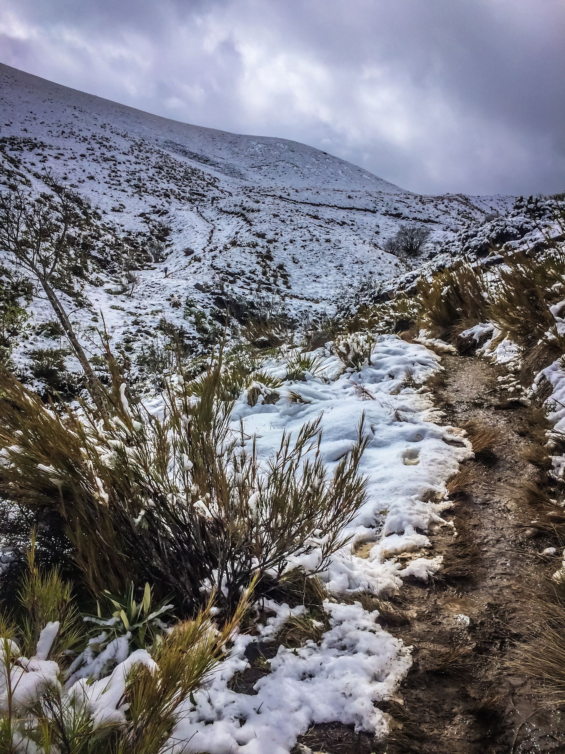 A snowy path leading up to a snow covered mountain.