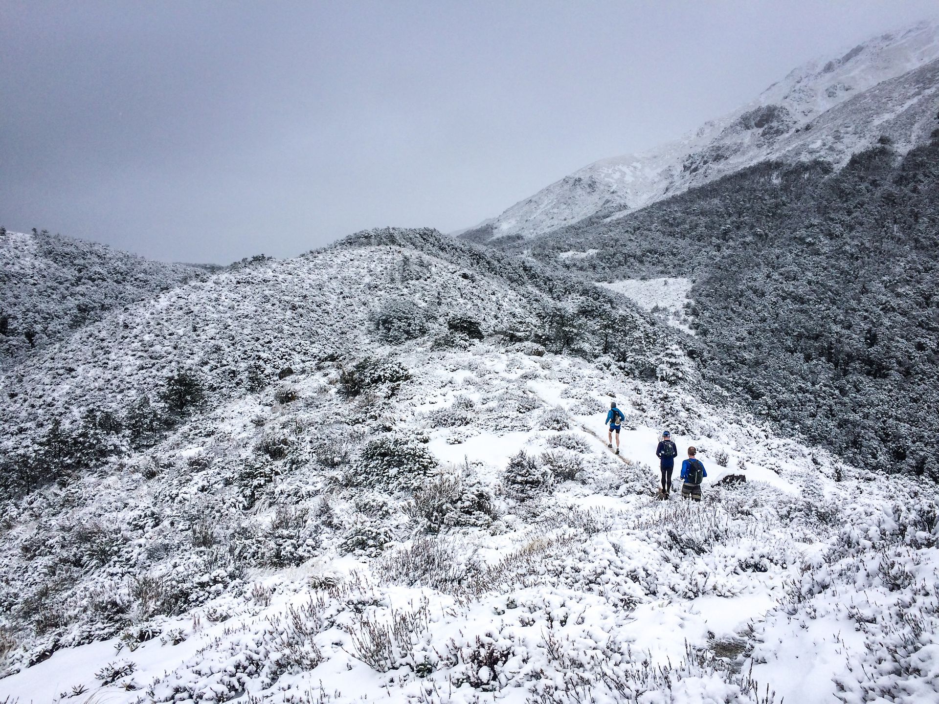 A group of people are walking up a snow covered hill.