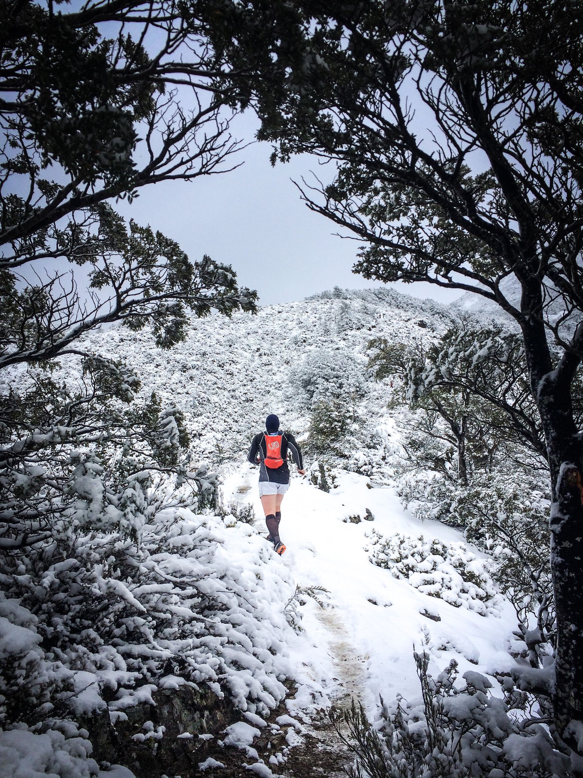 A person is running through a snowy forest