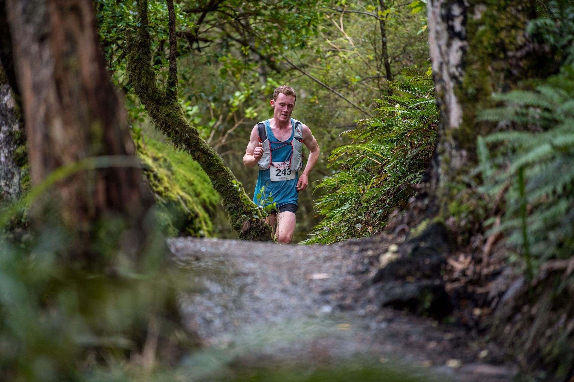 A man is running down a trail in the woods.