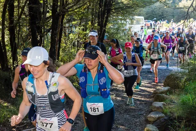 A group of people are running a race in the woods.