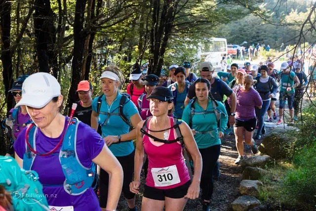 A group of people are running a trail in the woods.