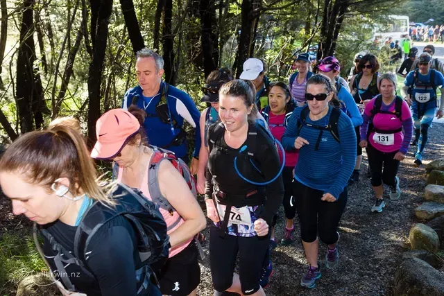 A group of people are walking down a trail in the woods.