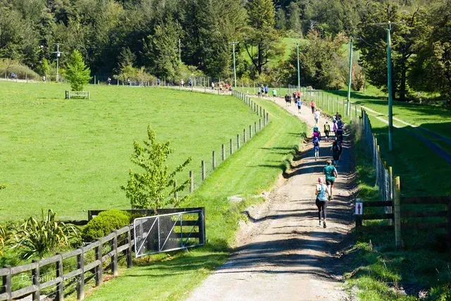 A group of people are walking down a dirt road.