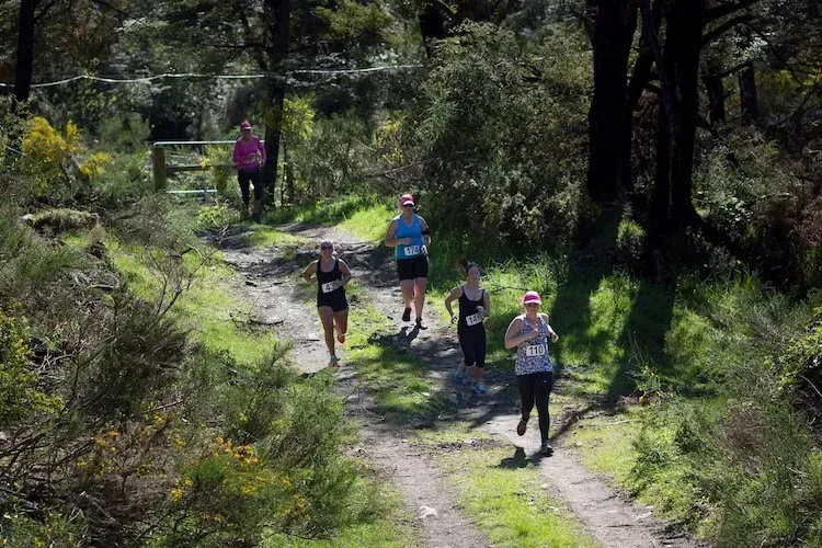 A group of people are running down a dirt path in the woods.