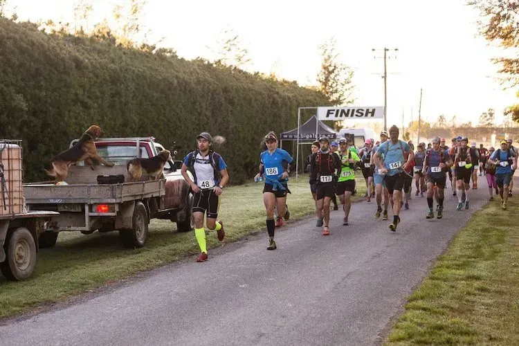 A group of people are running down a road in front of a finish sign.
