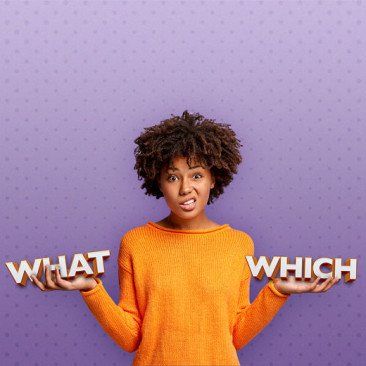 qual-e-a-diferenca-entre-what-e-which