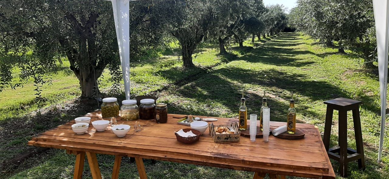 Rodolfo F. Allolio e Hijos S.R.L