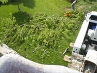 Tree Branches — Emergency Storm Cleanup in Champaign, IL Urbana