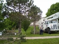 Trees and vehicle — Emergency Storm Cleanup in Champaign, IL Urbana