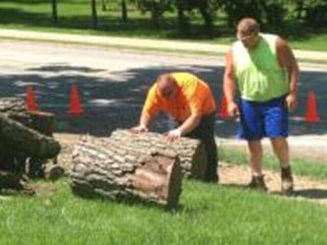 Fixing Cutted Logs — Tree services in Champaign, IL urbana