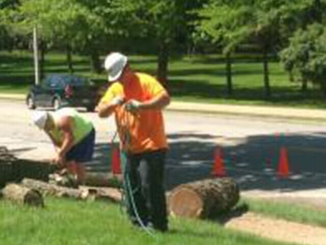 Fixing used rope — Tree services in Champaign, IL Urbana