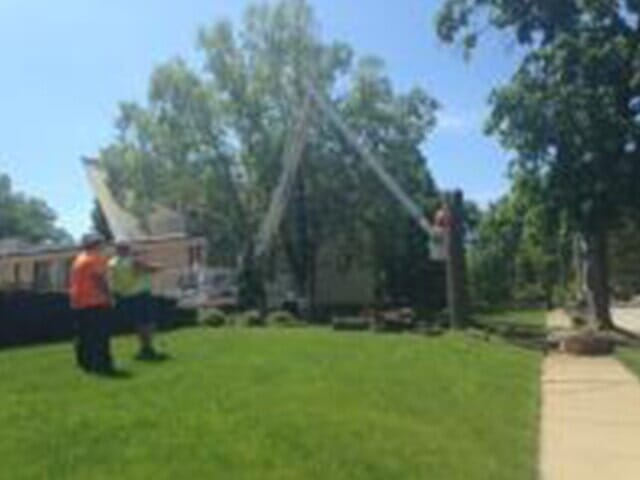 Tree Cutter cuts the tree smaller pieces 4 — Tree services in Champaign, IL Urbana