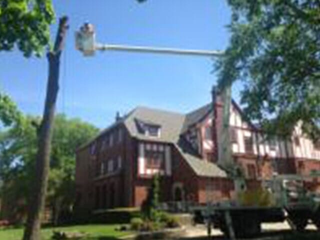 Tree Cutter on the top of the Tree 3 — Tree services in Champaign, IL Urbana
