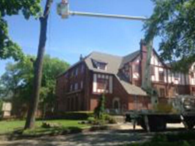 Tree Cutter on the top of the Tree 2 — Tree services in Champaign, IL Urbana