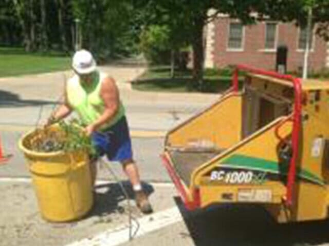 Cleaning Garbage — Tree services in Champaign, IL Urbana