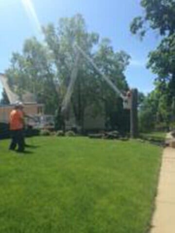 Tree Cutter cuts the tree smaller pieces 3 — Tree services in Champaign, IL Urbana