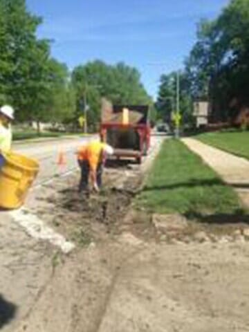 Cleaning the Dirt on the Street — Tree services in Bondville, IL