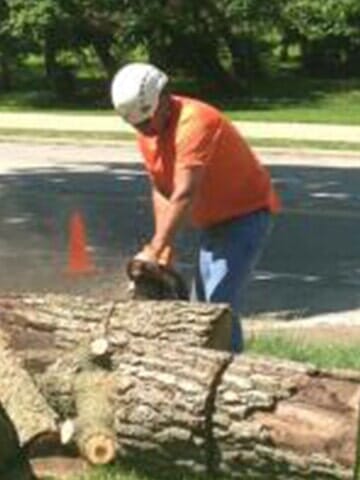 Trimming Logs 3 — Tree services in Champaign, IL Urbana