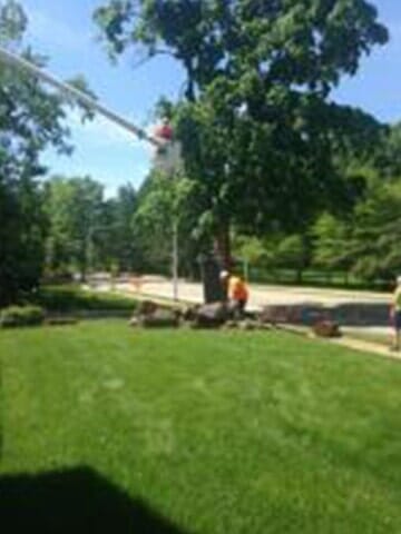 Cutting the barks smaller 5 — Tree services in Champaign, IL Urbana
