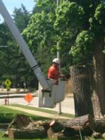 Cutting the barks smaller 4 — Tree services in Champaign, IL Urbana