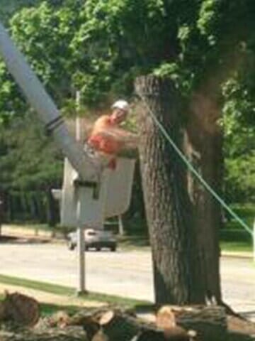 Cutting the barks smaller — Tree services in Champaign, IL Urbana