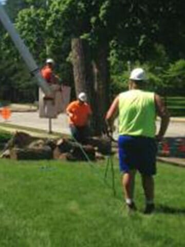 Cleaning up the cutted trunks — Tree services in in Champaign, IL Urbana