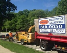 Lawn Trimming — Tree services in Champaign, IL Urbana