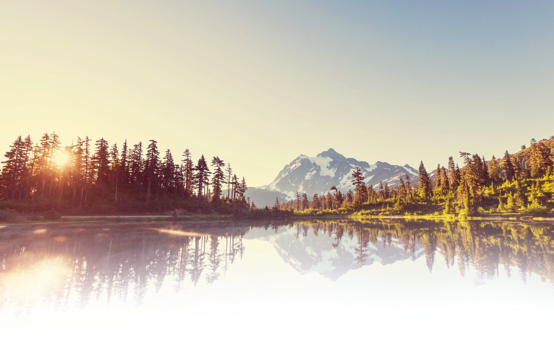 Alkaline Hydrolysis Washington Cremation Centers