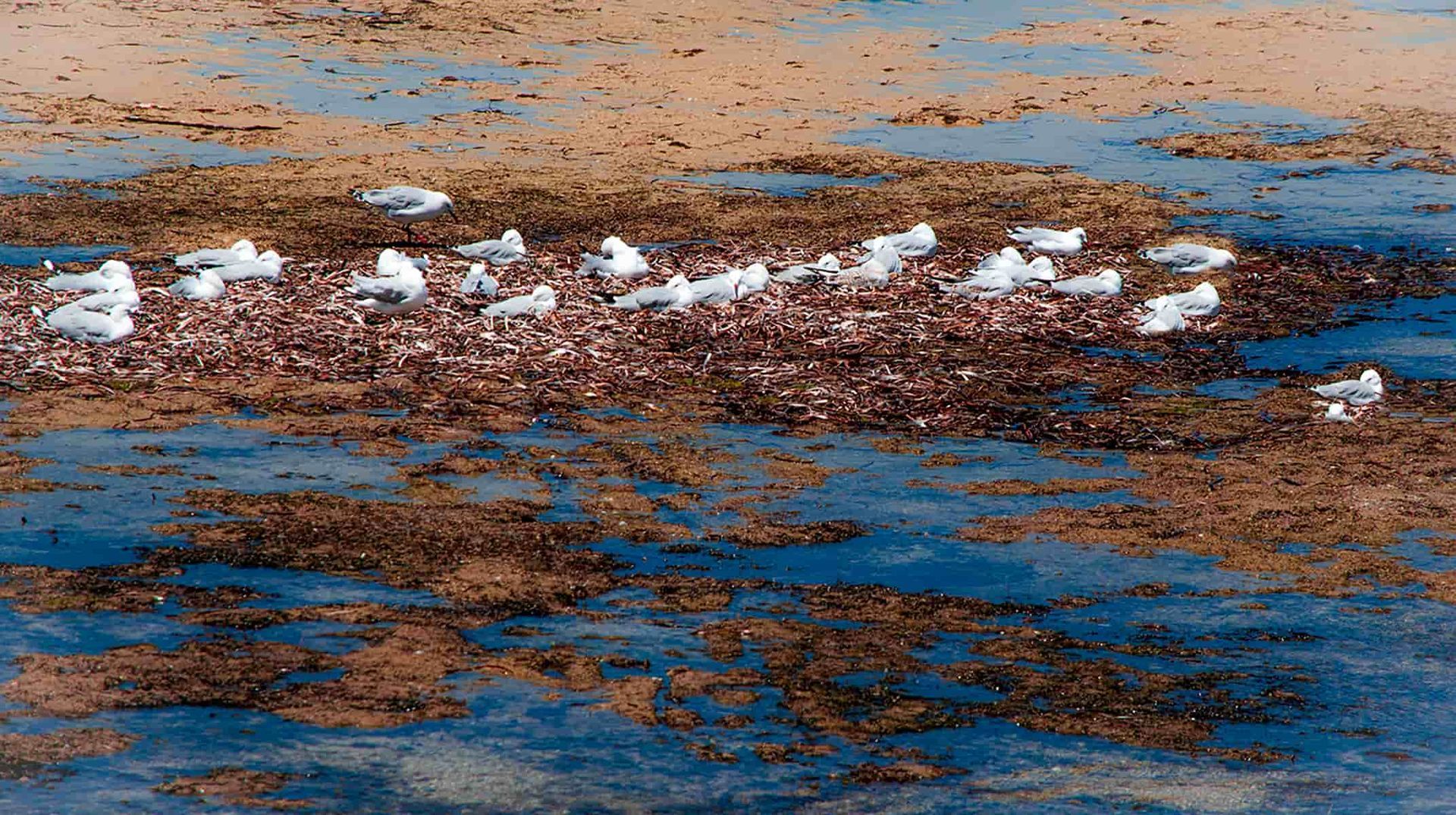 Seascape Textures and Colours — Up Here Photography in Rosebery, NT