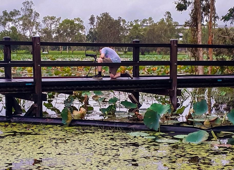 Person Kneeling on a Wooden Bridge — Up Here Photography in Rosebery, NT