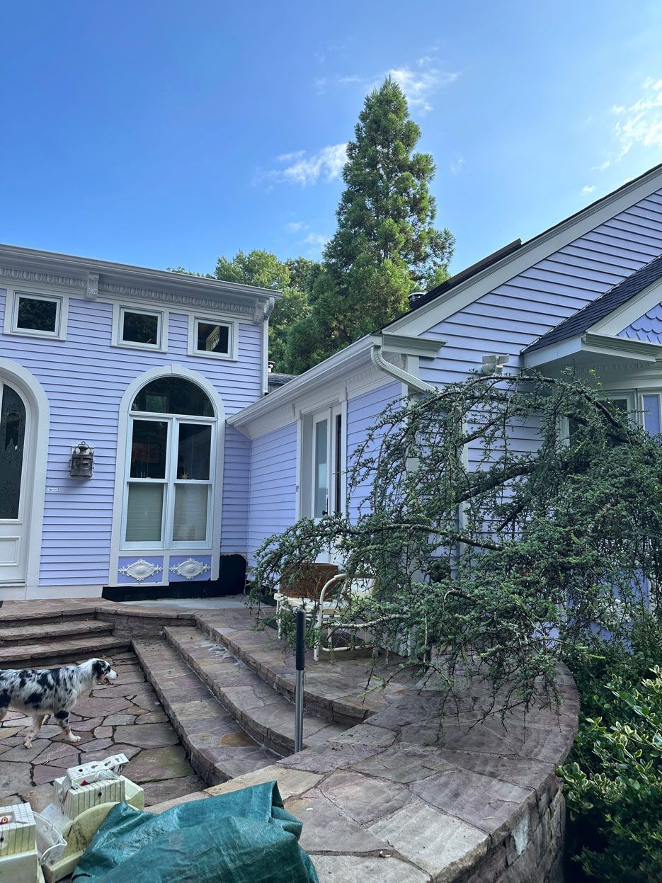 Light purple house with arched windows and stone patio steps under a clear blue sky, with a small dog in the foreground.