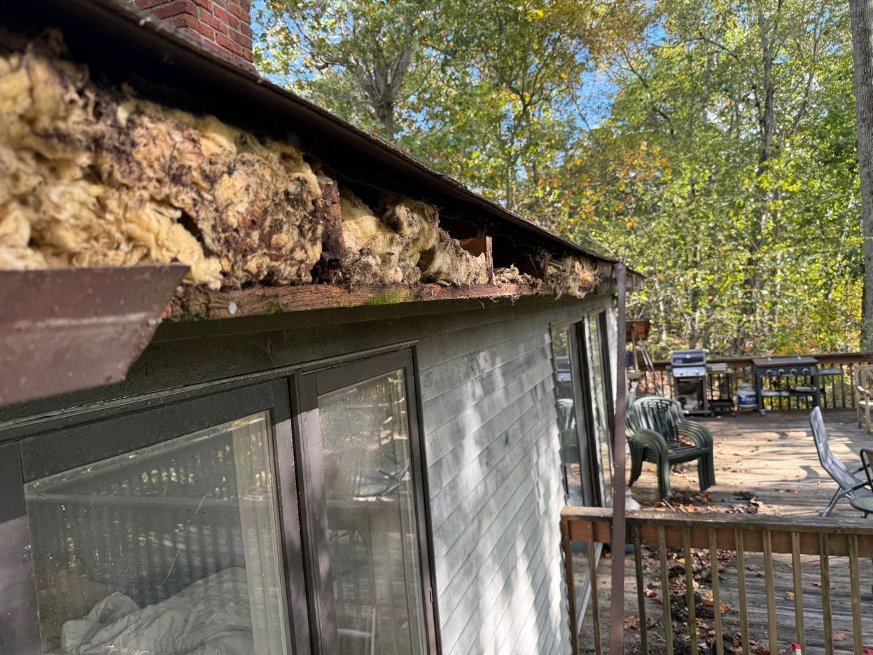 BEFORE: Severe fascia rot from failed gutter