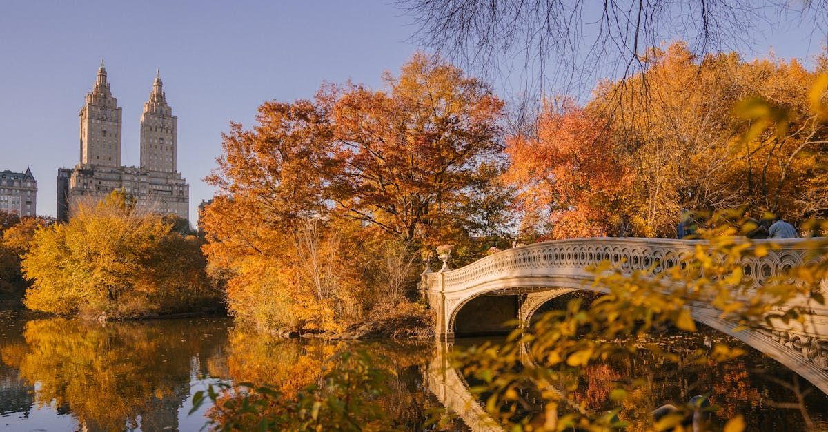A bridge over a lake in a park with a castle in the background.