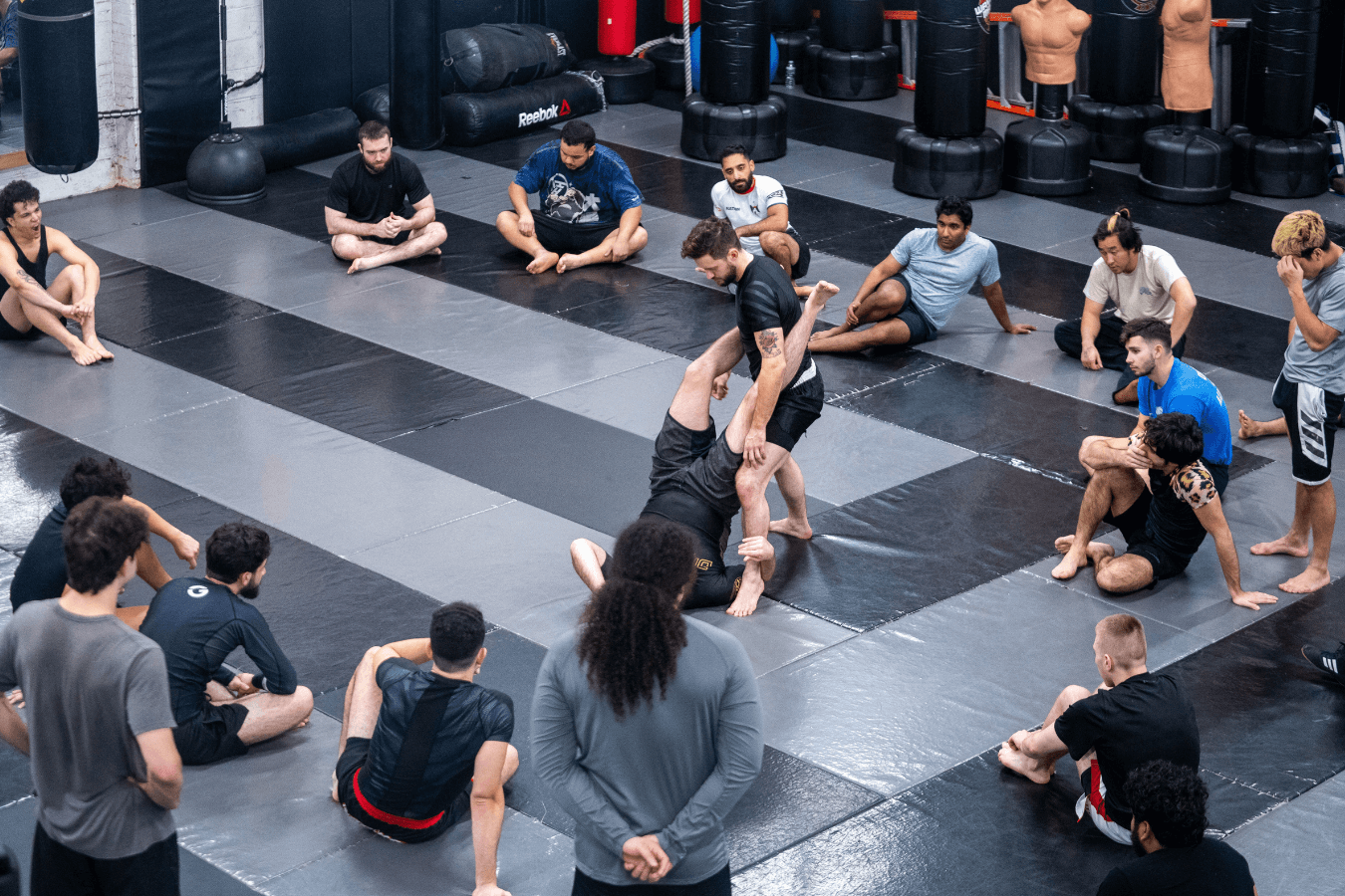 Longos MMA