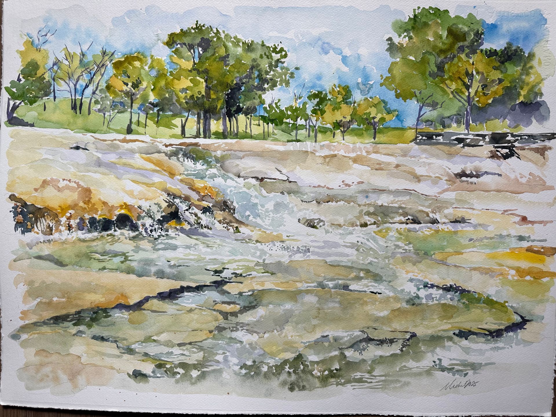 Watercolor painting of a swamp scene. Trees and reflections on the water. Green and gray colors.