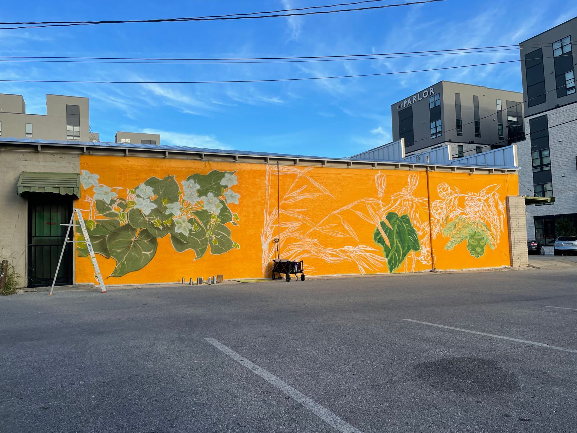 Mural in progress on an orange wall; green leaf outlines, ladder, blue sky, and buildings in a parking lot.
