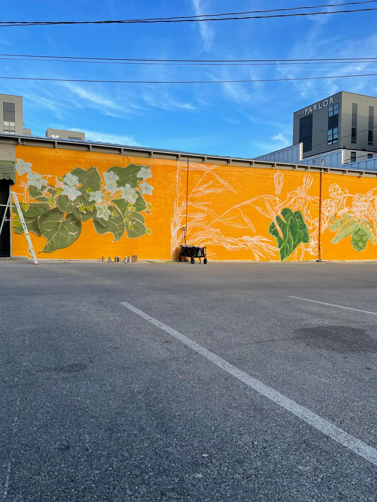 A mural in progress on an orange wall, featuring leaf outlines in white and green. Ladder, blue sky.