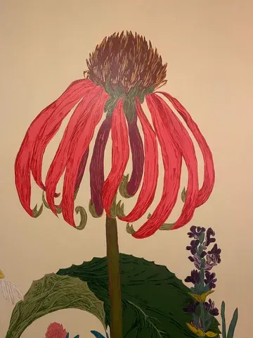 Large red coneflower with drooping petals and dark center, green stem, and lavender flowers on light background.