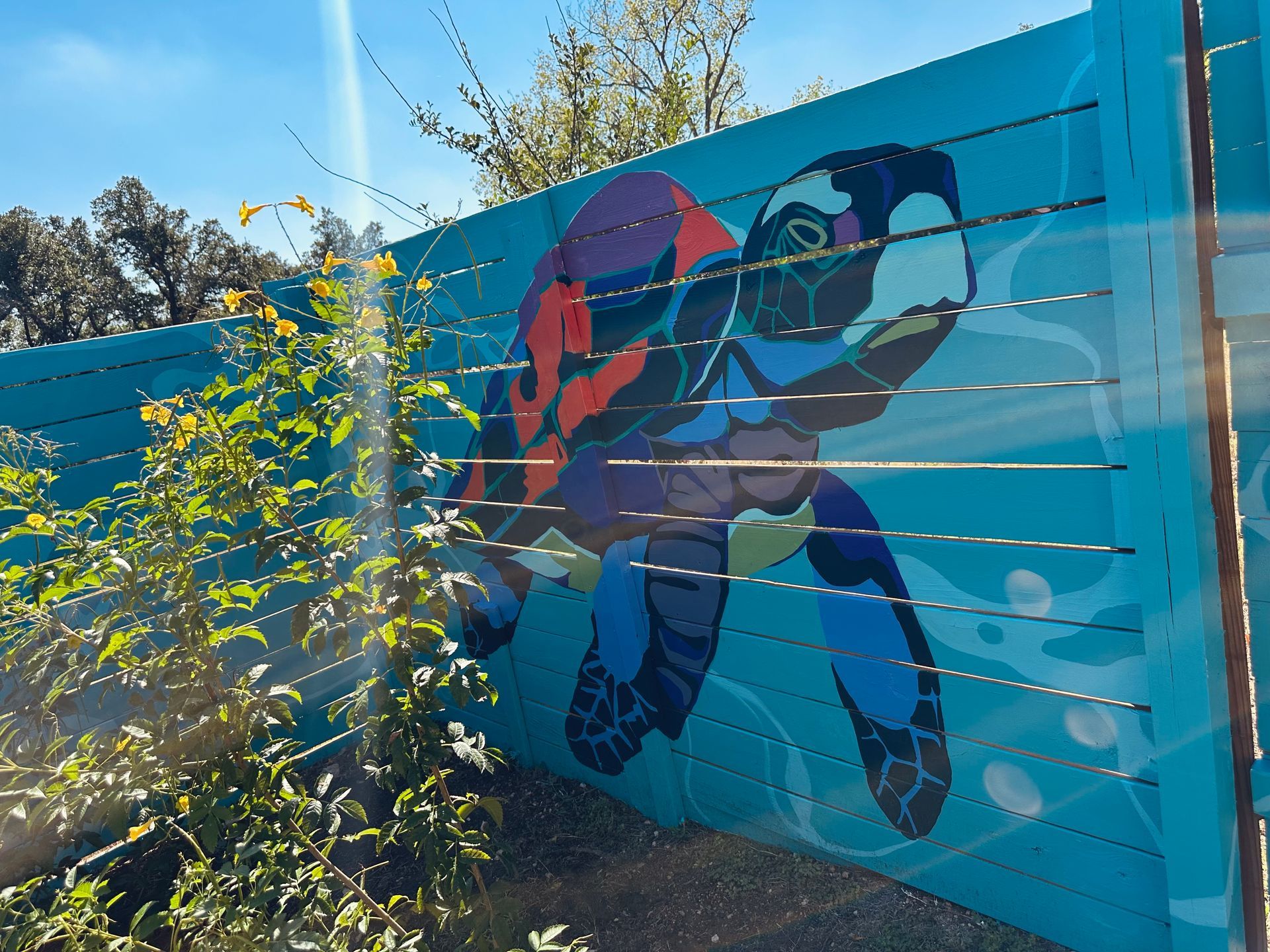 Mural of a colorful sea turtle on a blue wooden fence.